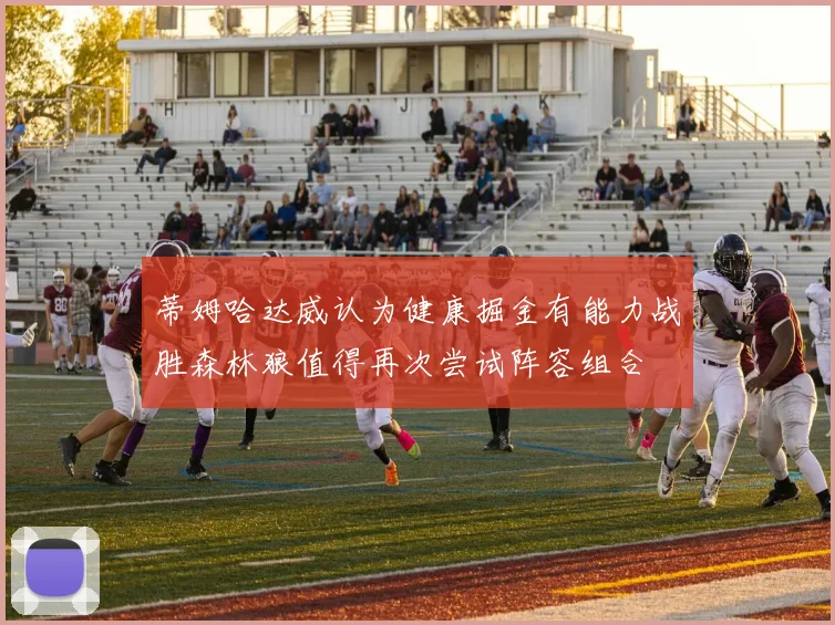 蒂姆哈达威认为健康掘金有能力战胜森林狼值得再次尝试阵容组合